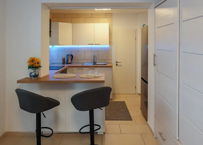 Messe Airport Dus With Terrace